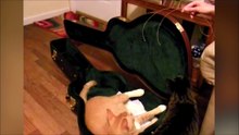 Cat Traps Brother in a Guitar Case