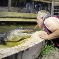 Give food to Feeding Crocodile from Mouth
