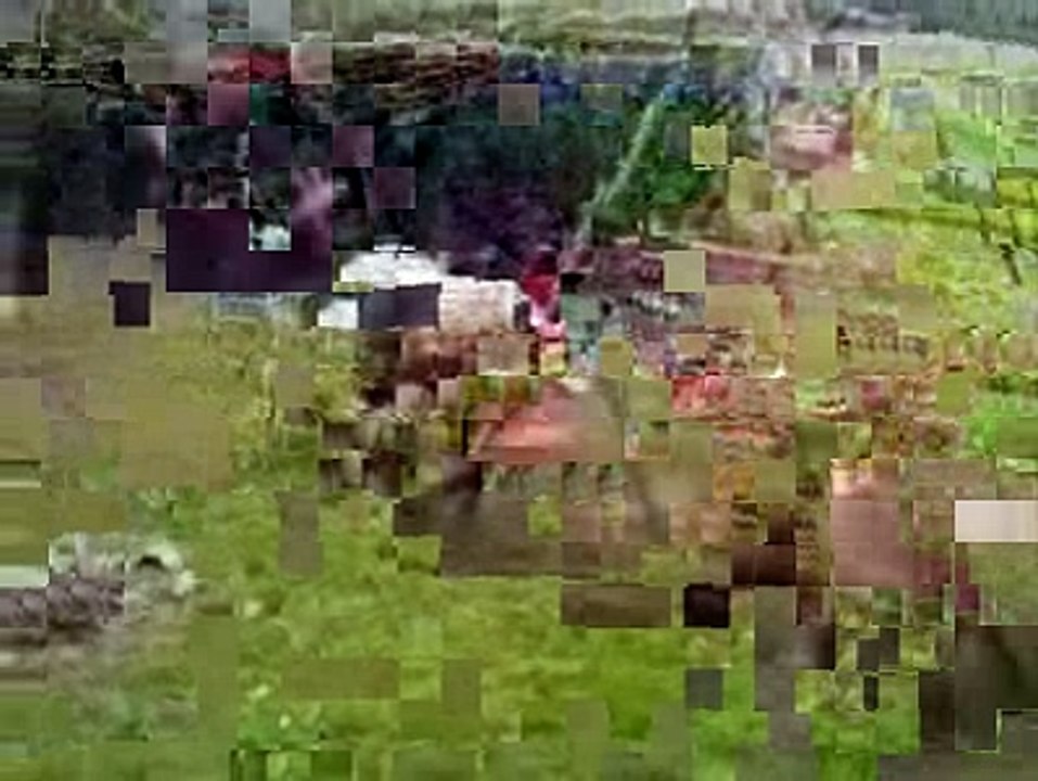 ovca funny clip
