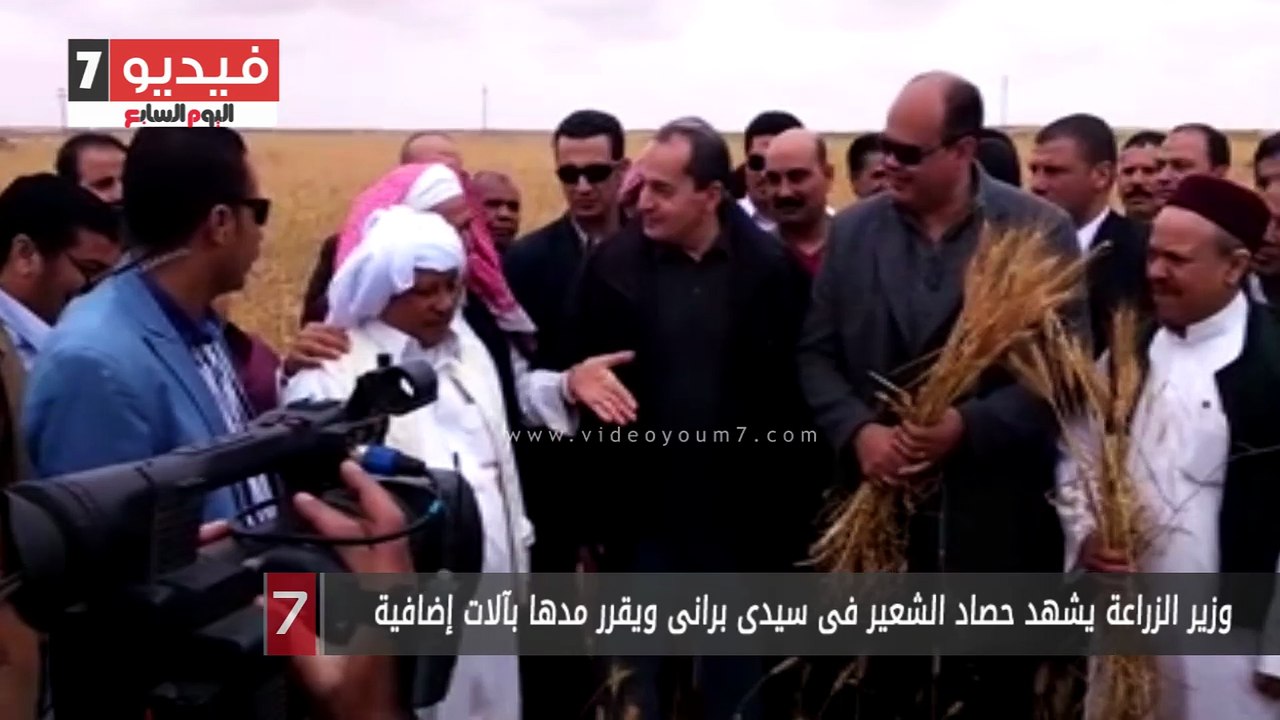 وزير الزراعة يشهد حصاد الشعير فى سيدى برانى ويقرر مدها بآلات إضافية