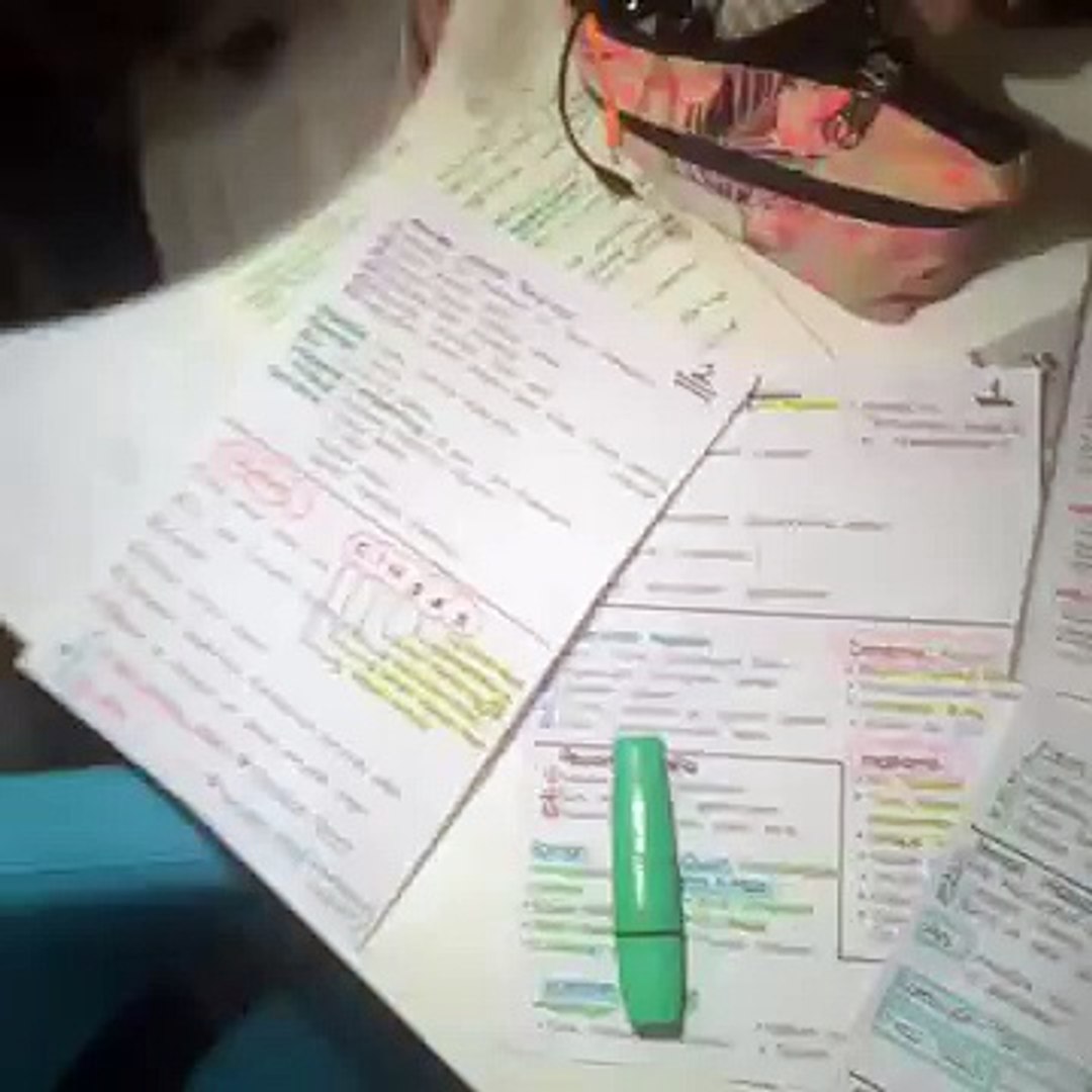 en komik videolar