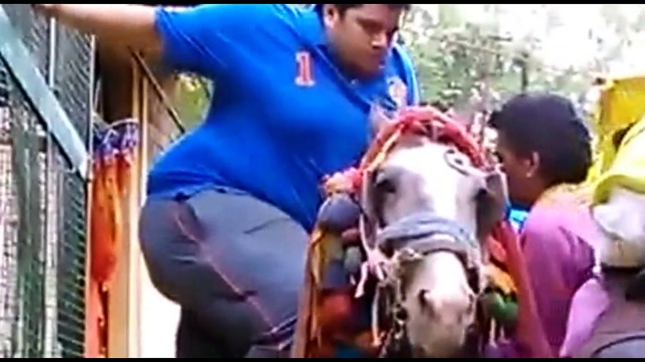 Funny Fat Video