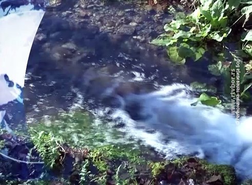 Retrospektiva saptaminji (Vesti na vlaškom jeziku), 27. mart 2016. (RTV Bor)