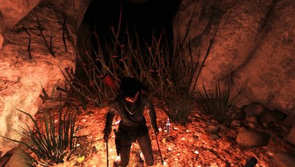 Rise of the Tomb Raider,Español parte 13, Mision despejar cueva de lobos