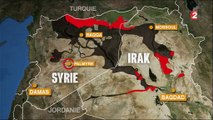 Syrie : l'État islamique a perdu Palmyre