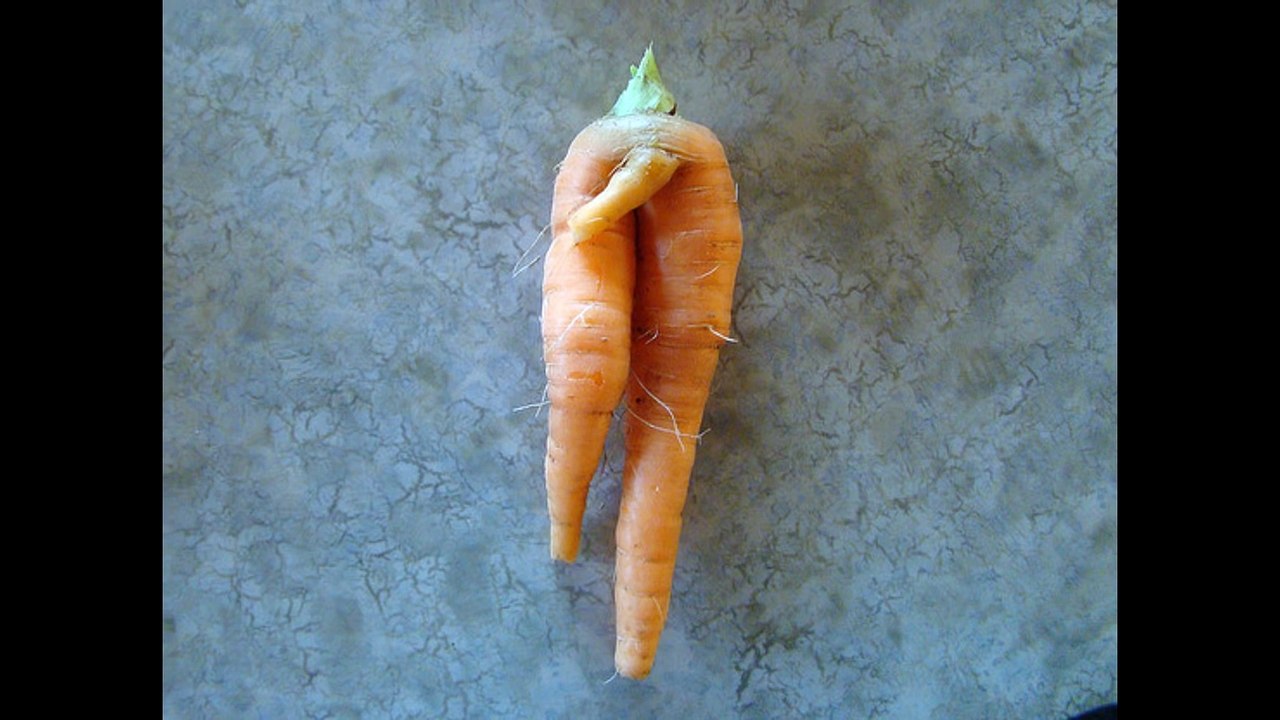 10 Funniest Vegetables on Earth 2015
