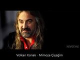 Volkan Konak Mimoza Çiçeğim