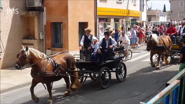 Bouillargues-Défilé et arrivée Abrivado longue à l'Ancienne!! Aout 2015