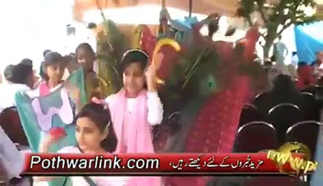 پری کیڈٹ سکول سالانہ نتیجہ