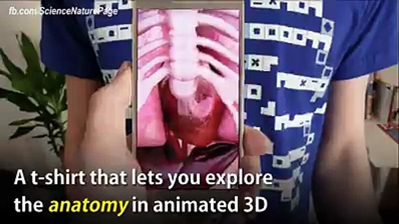 Une idée génial! l'anatomie plus amusant