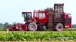 HOLMER Exxact T4.30 6-row sugar beet harvester | Suikerbieten rooien | Loonbedrijf Breure