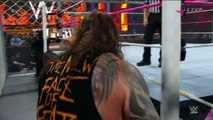 Roman reigns vs Bray wyatt Hell in a Cell 2015 HD(720p)