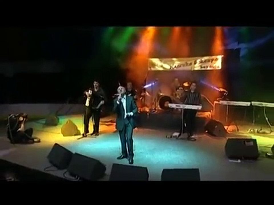 Saban Saulic Dva galeba bela uzivo