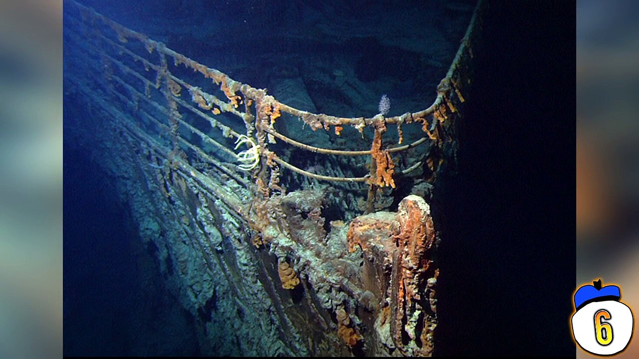 8 Life Mysteries That Science Still Cant Explain