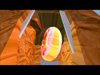 The Way Of Life | What The Hell Is This?!