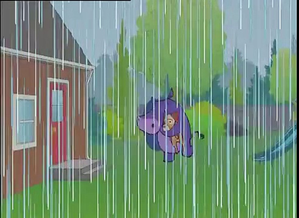 Where do puddles go?