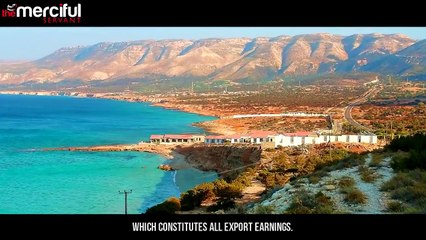 Top 10 richest islamic countires in the world