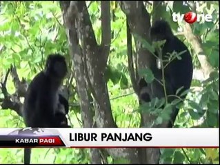 Menikmati Keindahan Pantai Monyet di Jember