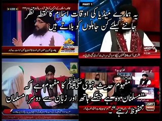 Download Video: Barelvi Mufti Hanif Qureshi Openly Abusing