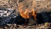 Using Fire to Make Tools - The Great Human Race