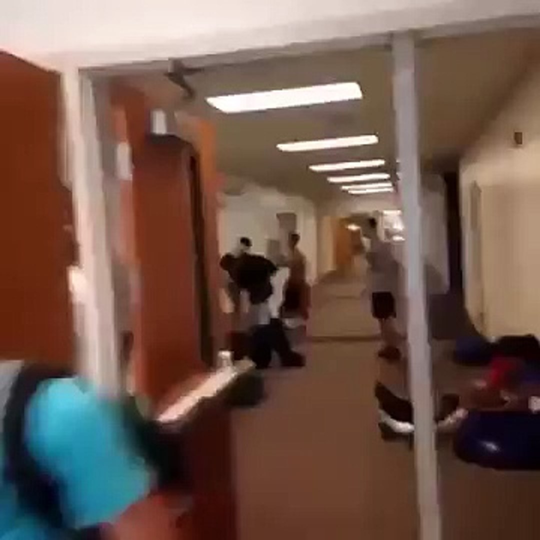 Komik videolar