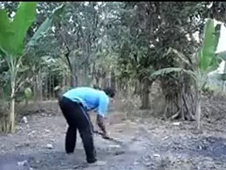 JUST FOR LAUGHS