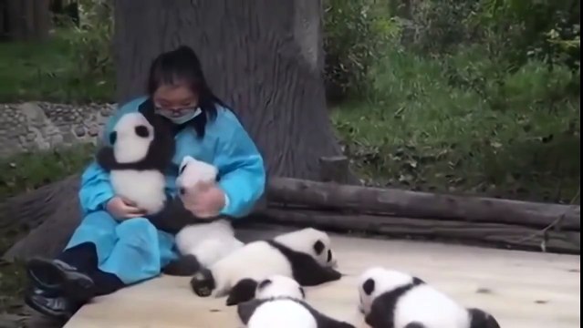 Лучшая в мире работа