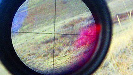 Bit coins are awesome!