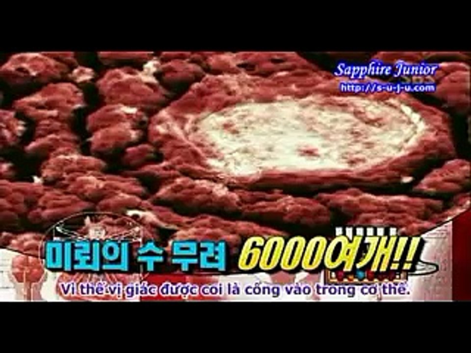 Khám phá cơ thể con người Ep1  p1/4