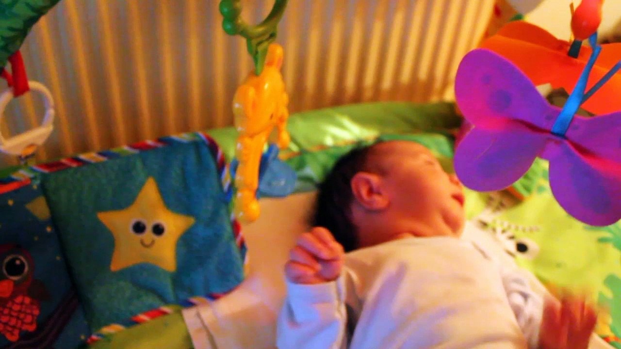 Luka erstes Jahr - Luka prva godina