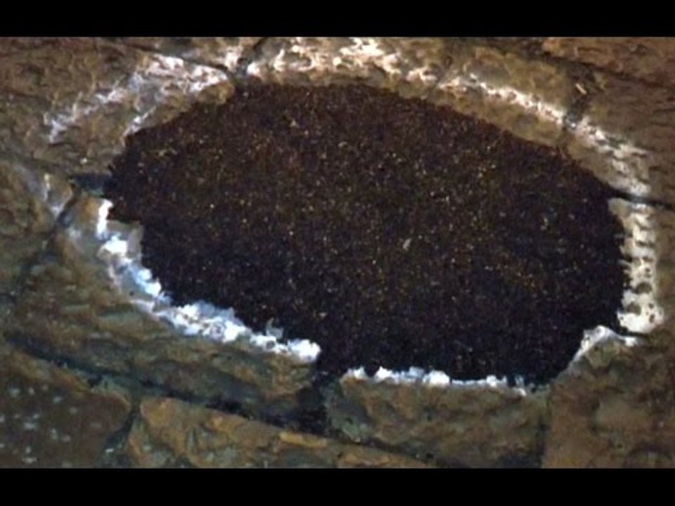 Napoli - Carabiniere-motociclista muore in incidente a Posillipo (26.03.16)