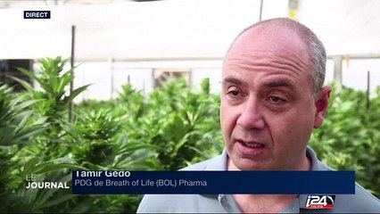 Israël étudie la question du cannabis thérapeutique