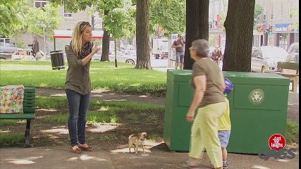 Puppy Gets Stuck in Mouse Trap