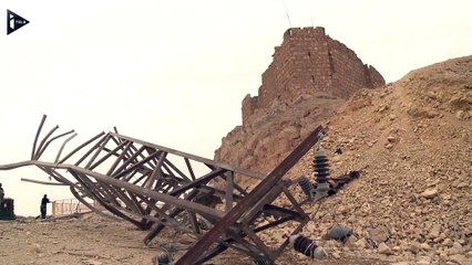 Palmyre libérée de l'Etat islamique, un "important exploit" selon Assad