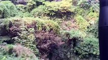 Kobe Nunobiki Herb Gardens and Ropeway on Mt Rokko! 布引ハーブ園ロープウエイ！-copypasteads.com