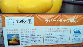 One Giant Rubber Duck in Osaka ジャイヤントラバーダック大阪中之島-copypasteads.com