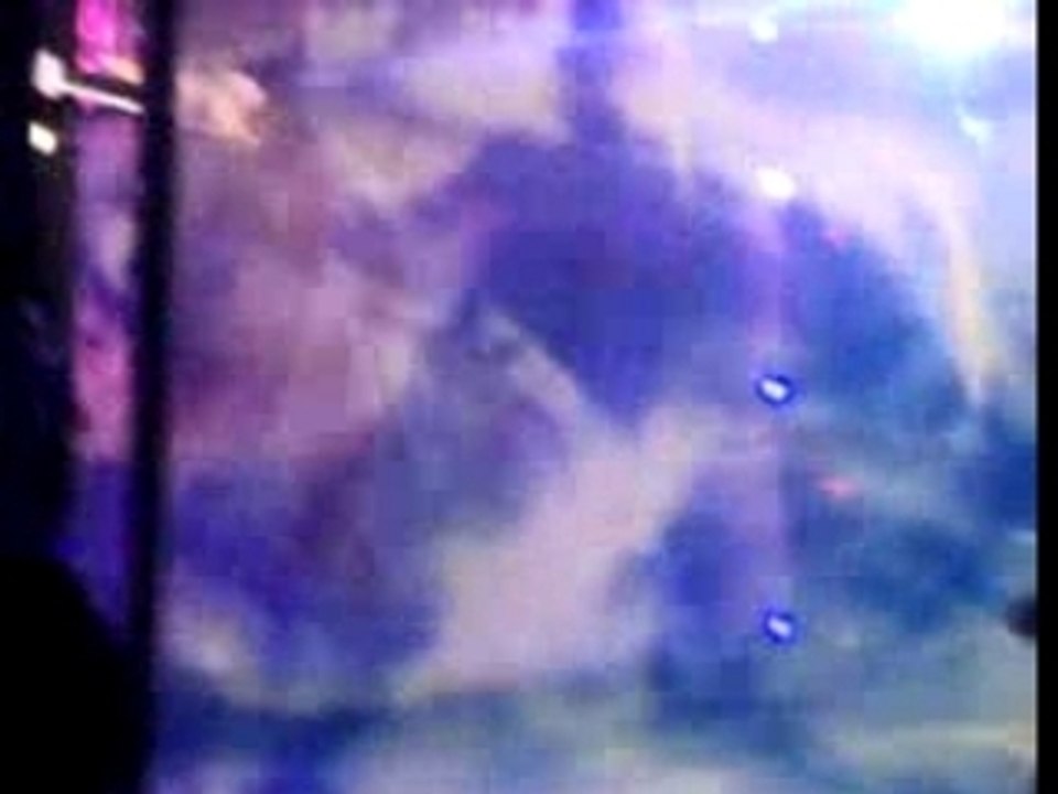 12062007006