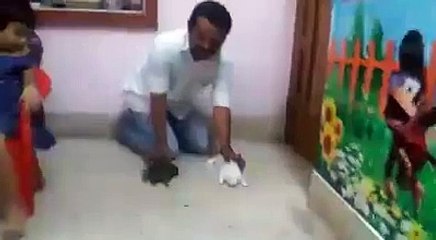 Rabbit and Tortoise Race - The Real Life Experiment (Comic FULL HD 720P)