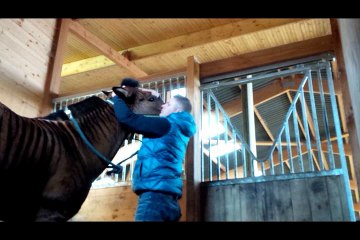 24 h chrono avec un ostéo poney