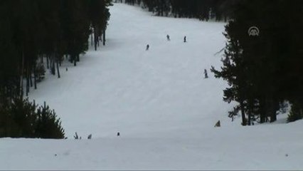 Cıbıltepe'de Hafta Sonu Yoğunluğu