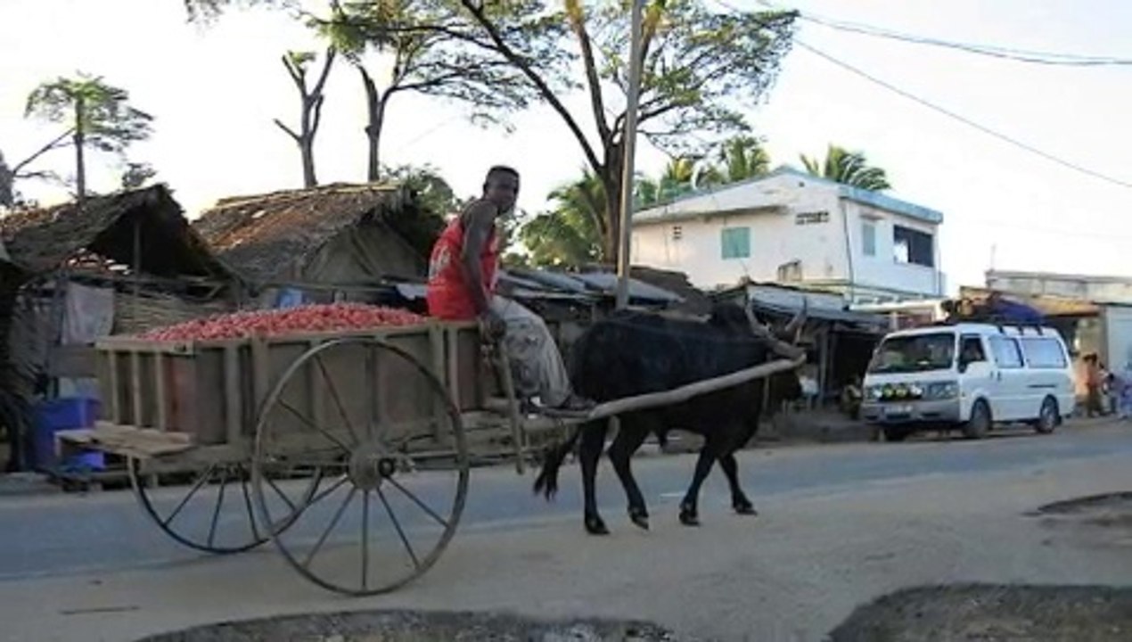 AMBILOBE TANANANAY !!!