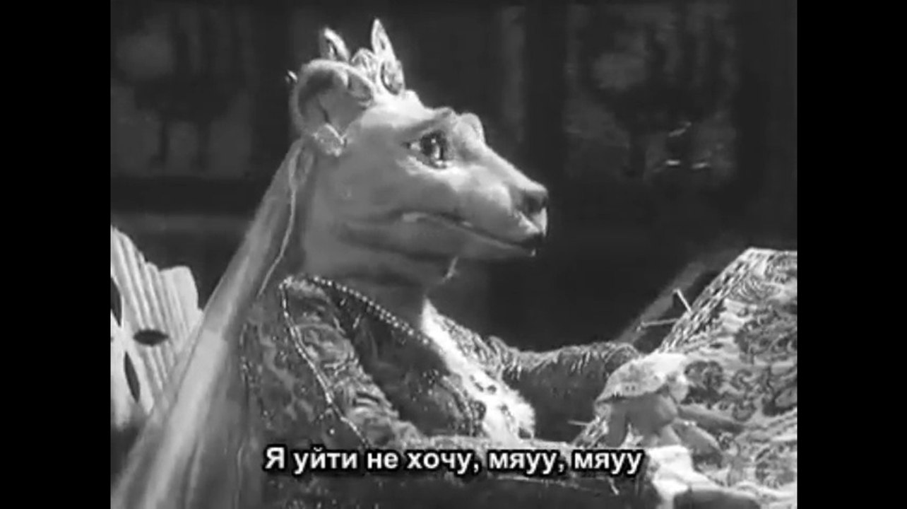 rejnlis
