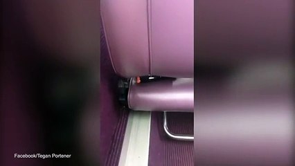 Woman captures weirdo trying to film up her skirt on a train