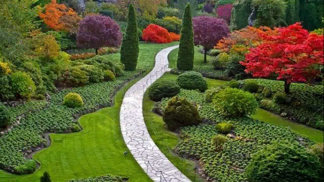 Lena Biolcati VITA MIA