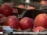 Irán y Siria, los nuevos proveedores alimentarios de Rusia