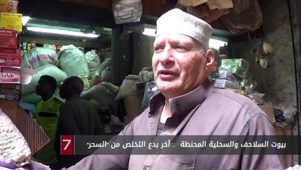 بيوت السلاحف والسحلية المحنطة  .. أخر بدع التخلص من السحر