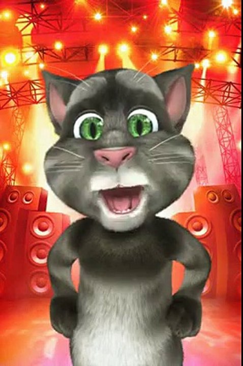 best cat