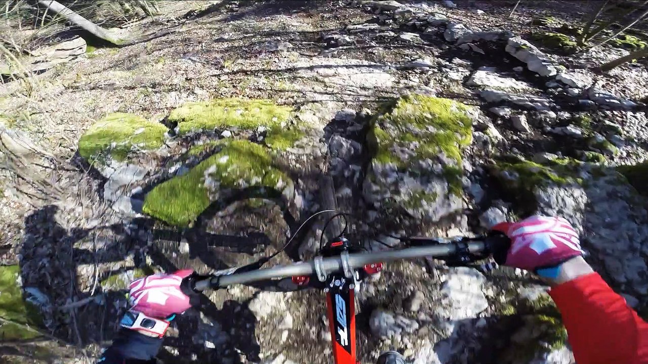 DH Bienne - March 2016