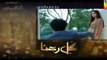 Gul E Rana Episode 21 HD Promo HUM TV Drama 26 March 2016- Dailymotion