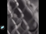 WWE Diva Torrie Wilson Hot Ass and Boobs Compilation-2
